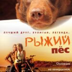 Рыжий Пес Постер